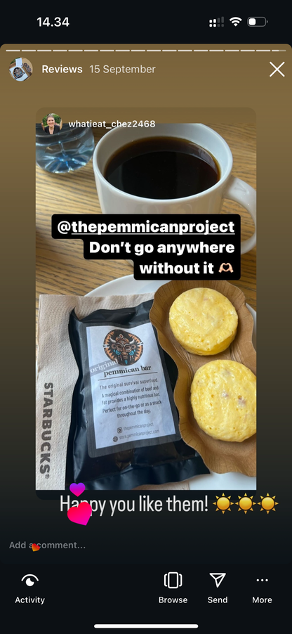 The Original Pemmican Bar (100% Beef)